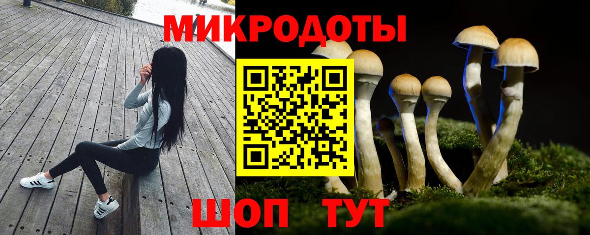 Псилоцибиновые грибы Cubensis Егорьевск